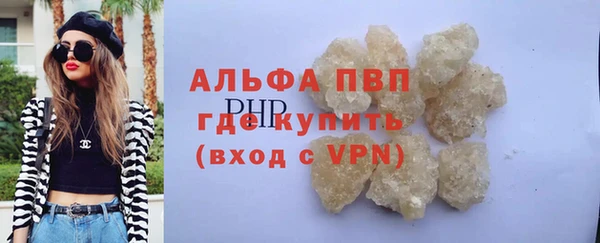 прущие грибы Арсеньев