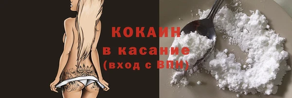 прущие грибы Арсеньев
