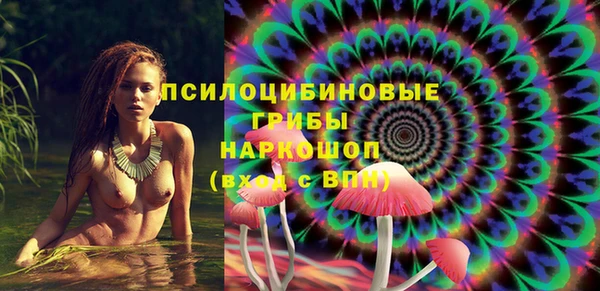 прущие грибы Арсеньев