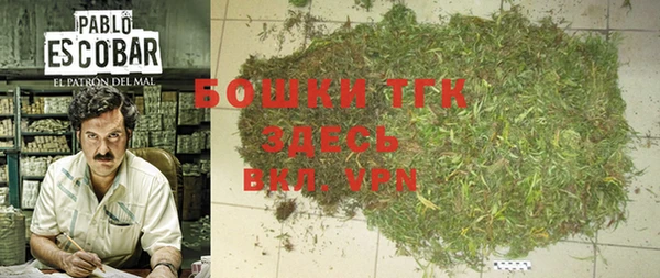 прущие грибы Арсеньев