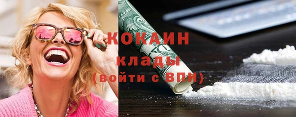 прущие грибы Арсеньев